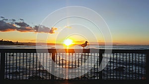 Sunrise and Sunsets - Spectacular view  to the ocean, Coolangatta Qld Australia