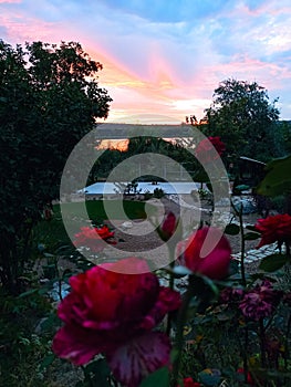 Sunrise Suruceni lake view with red roses and green lawn