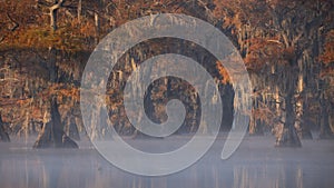 Sunrise at Swamp at Caddo Lake Texas