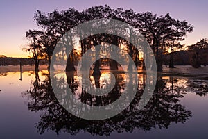 Sunrise at Swamp at Caddo Lake Texas