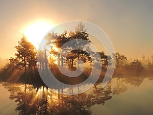 Sunrise in swamp, Lithuania