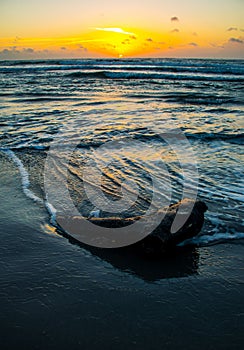 Sonnenaufgang Strand tief vertikal natur Ozean 