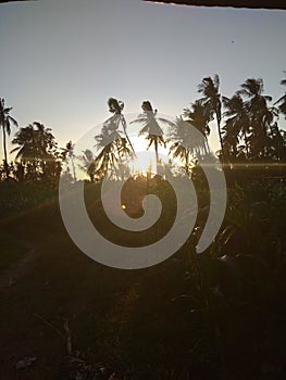 Sunrise in tingatinga village photo