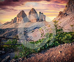 Sunrise in Tre Cime Di Lavaredo mpountain peaks. Astonishing summer scene of Dolomiti Alps, South Tyrol, Italy, Europe.