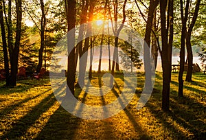 Sunrise Through the Trees Across a Misty Lake