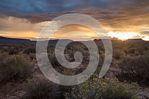 Sunrise in Utah`s southwest desert