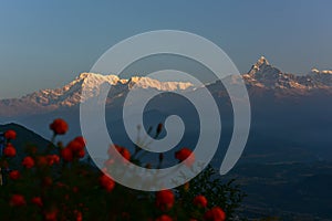 Sunrise view of Annapurna mountain ranges and Machhapuchhre Fishtail from Sarangkot, Nepal