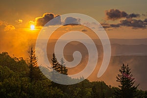 Sunrise view from Bear Rocks Preserve in Dolly Sods Wilderness, Monongahela National Forest, West Virginia photo