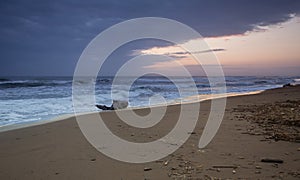 A sunrise view of the Carribean beach in Costa rica - Landscape