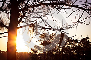 Sunrise view in the countryside