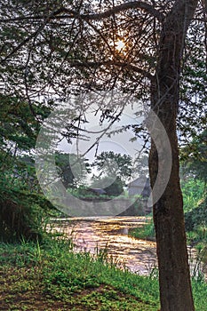 Sunrise view of Ishasha river, with acacia thorn tree Acacia sensu lato growing and the reflections on the water, Uganda photo