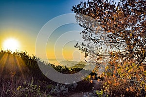 Sunrise View from Mt. Soledad in La Jolla, California photo