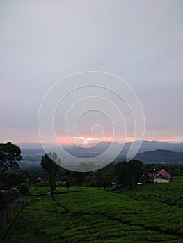 Sunrise view from Tea plantation above Dempo Mountain photo