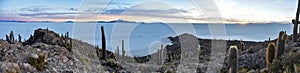 Sunrise views of the Salar de Uyuni from Isla Incahuasi. Uyuni, Bolivia