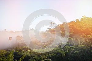 Sunrise village thailand with foggy landscape mountains misty forest with tree and house in the moring winter nature - View of