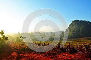 Sunrise in Vinales valley, Cuba