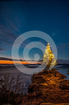 Sunrise at Wachtfelsen, Wernersberg, Palatinate Forest: fog, clouds and a Christmas tree in the morning light