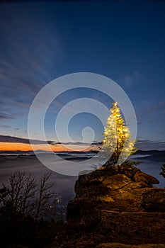 Sunrise at Wachtfelsen, Wernersberg, Palatinate Forest: fog, clouds and a Christmas tree in the morning light