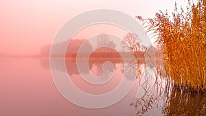 Sunrise at the water. Trees reflection in the pond on foggy morning. Orange mood