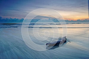 Sunrise with waves and lost wood photo