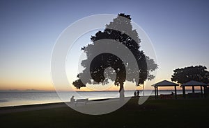 Sunrise at Wellington Point reserve at dawn. Trees Silhouetted against the sky. 3 people also silhouetted enjoying the sunrise.