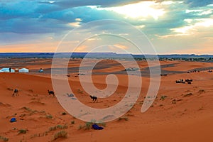 Sunrise in the western part of the Sahara Desert in Morocco