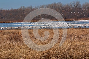 Sunrise on Wildlife Refuge