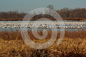 Sunrise on Wildlife Refuge