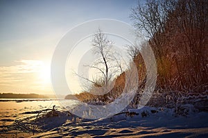 Sunrise on winter morning and trees with bare branches on a cold sunny time and snow on field