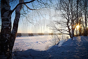 Sunrise on winter morning and trees with bare branches on a cold sunny time and snow on field