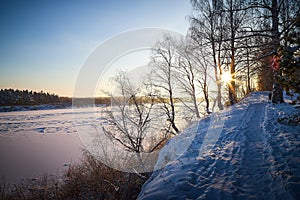 Sunrise on winter morning and trees with bare branches on a cold sunny time and snow on field