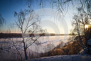 Sunrise on winter morning and trees with bare branches on a cold sunny time and snow on field