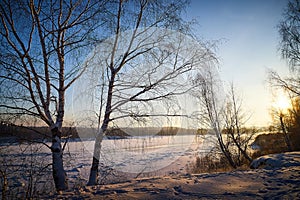 Sunrise on winter morning and trees with bare branches on a cold sunny time and snow on field