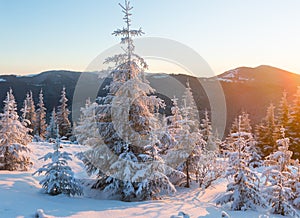 Sunrise winter mountain landscape