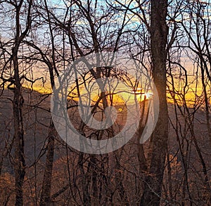 Sunrise through the winter trees over the mountains