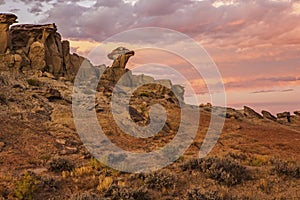 Sunrise in the Wyoming desert