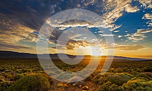 Sunrise in yellow and blue colors over the Tankwa Karoo veld in South Africa.