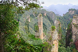 Sunrise at Zhangjiajie National Park. Avatar mountains