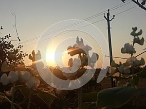 Sunrises so beautiful neture