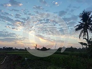 Sunrises so beautiful village farm in gujarat