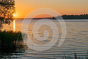 Sunrises sunsets on a summer pond in the forest