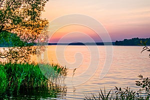 Sunrises sunsets on a summer pond in the forest