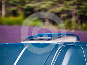 Sunroof, raisable window on roof top of camper