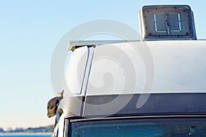 Sunroof, raisable window on roof top of caravan