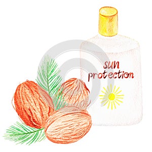 Sunscreen with coconuts. Watercolor illustration. Isolated on a white background.