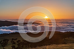 Sunset above fog from Fanal in Madeira island