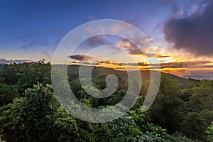 Sunset above Rainforest of Lamington National Park, Queensland, Australia