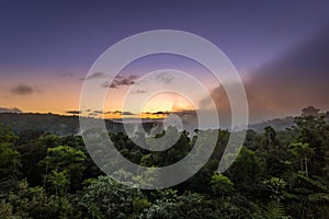 Sunset above Rainforest of Lamington National Park, Queensland, Australia