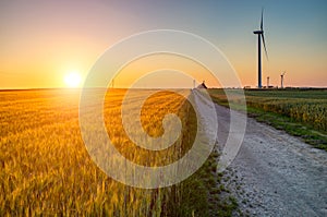 Sunset above the windmills