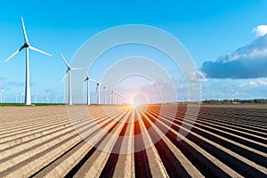 Sunset above windmills on the field